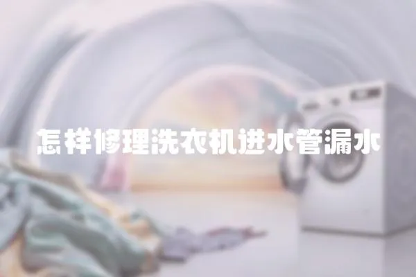 怎樣修理洗衣機進水管漏水