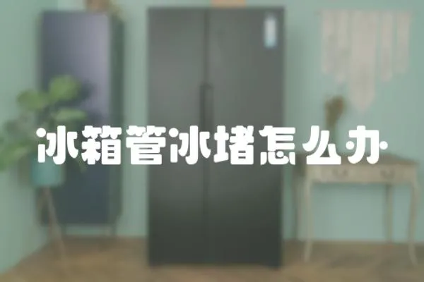 冰箱管冰堵怎么辦