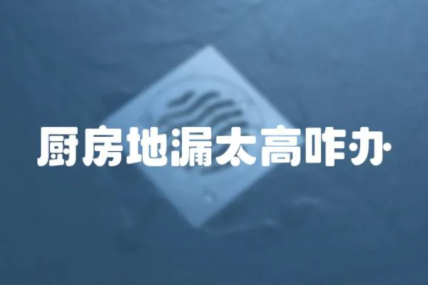 廚房地漏太高咋辦