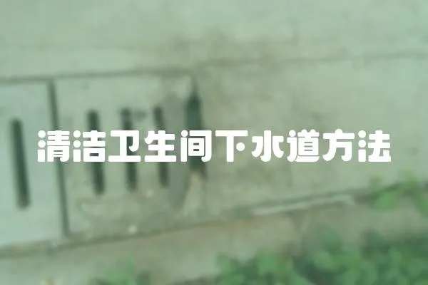 清潔衛(wèi)生間下水道方法