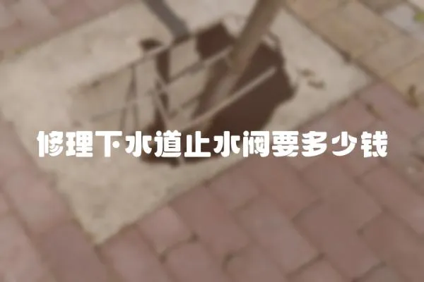修理下水道止水閥要多少錢