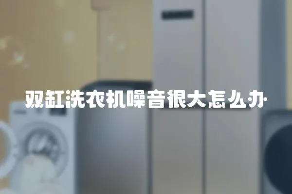 雙缸洗衣機噪音很大怎么辦