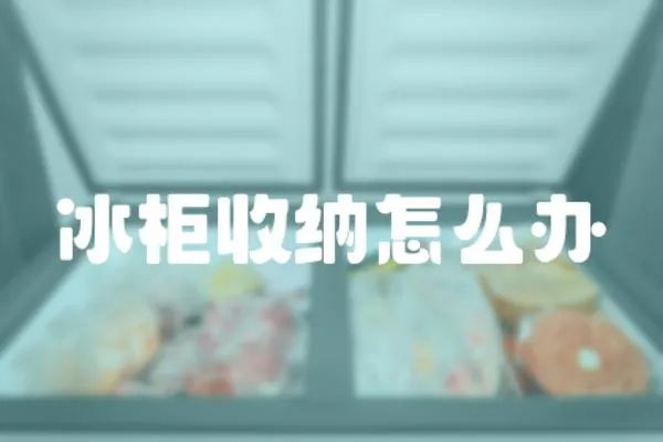 冰柜收納怎么辦