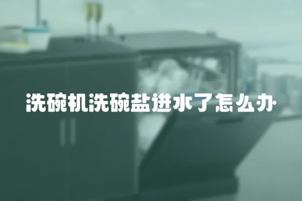 洗碗機洗碗鹽進水了怎么辦