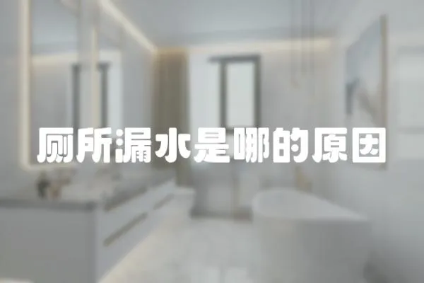 廁所漏水是哪的原因