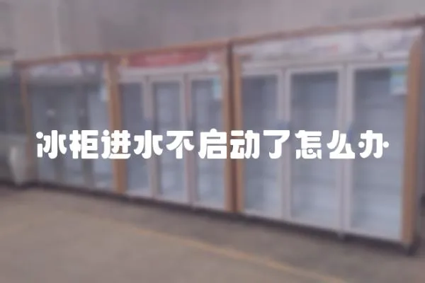 冰柜進水不啟動了怎么辦