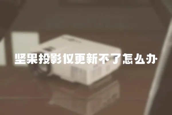 堅(jiān)果投影儀更新不了怎么辦