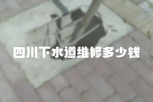 四川下水道維修多少錢