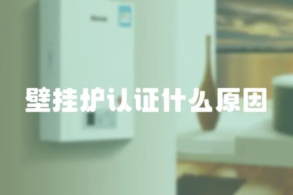 壁掛爐認(rèn)證什么原因