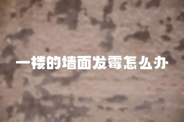 一樓的墻面發霉怎么辦