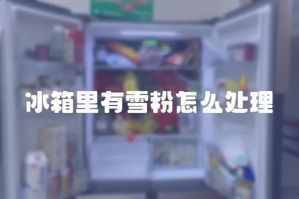 冰箱里有雪粉怎么處理