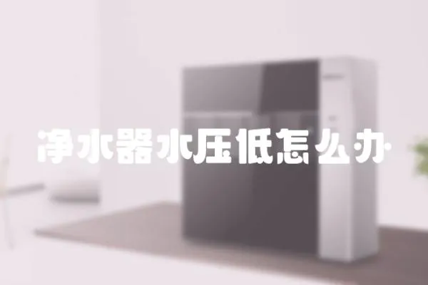 凈水器水壓低怎么辦