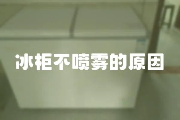 冰柜不噴霧的原因