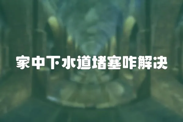 家中下水道堵塞咋解決