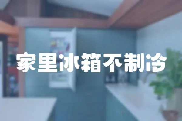 家里冰箱不制冷