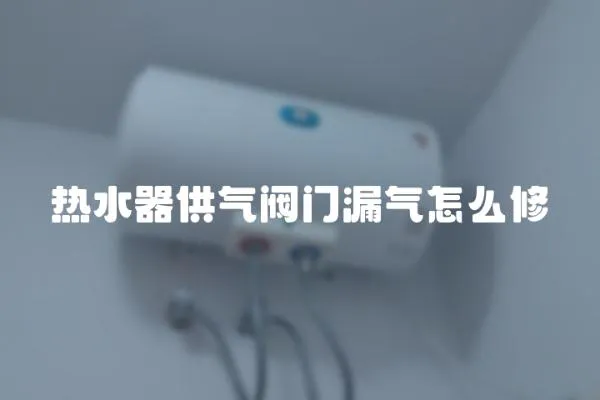熱水器供氣閥門漏氣怎么修