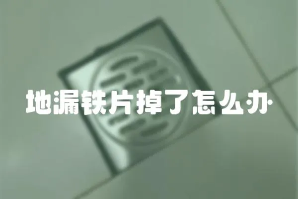 地漏鐵片掉了怎么辦