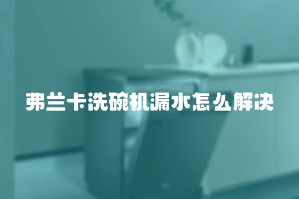 弗蘭卡洗碗機漏水怎么解決