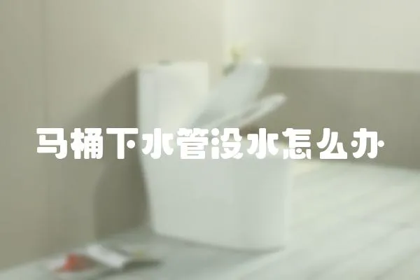 馬桶下水管沒水怎么辦