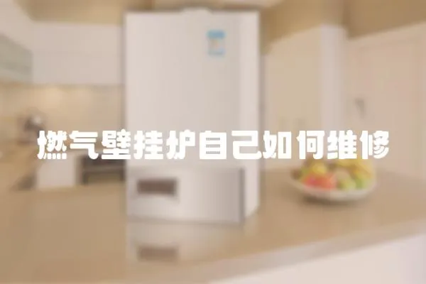 燃氣壁掛爐自己如何維修
