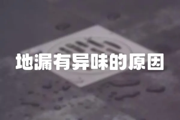地漏有異味的原因