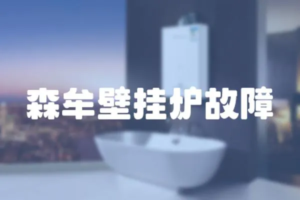 森牟壁掛爐故障