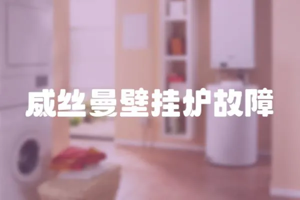 威絲曼壁掛爐故障