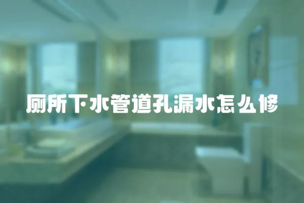廁所下水管道孔漏水怎么修