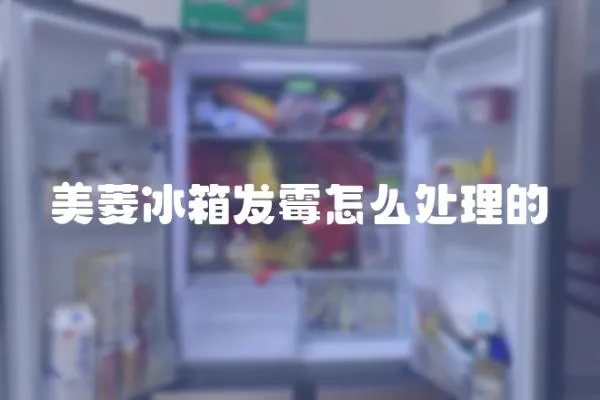 美菱冰箱發霉怎么處理的