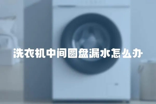 洗衣機(jī)中間圓盤漏水怎么辦