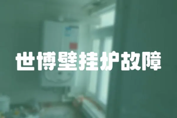 世博壁掛爐故障
