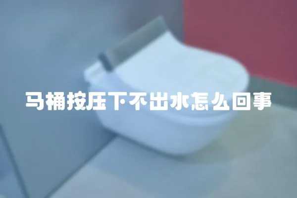 馬桶按壓下不出水怎么回事