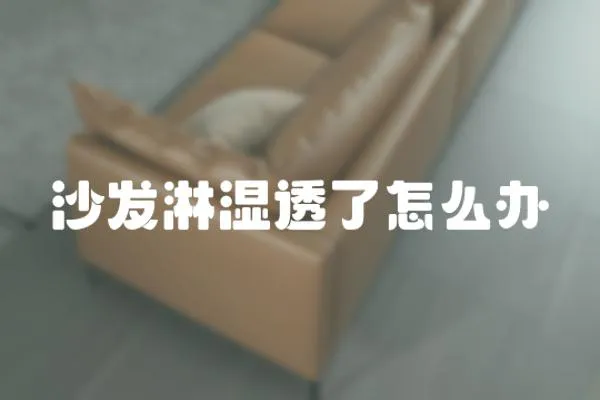 沙發淋濕透了怎么辦