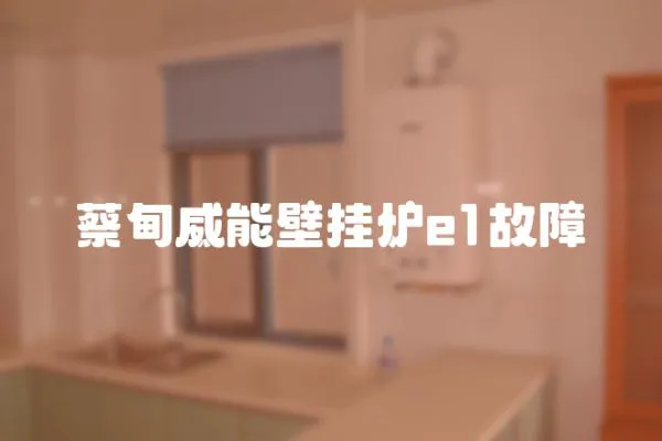 蔡甸威能壁掛爐e1故障