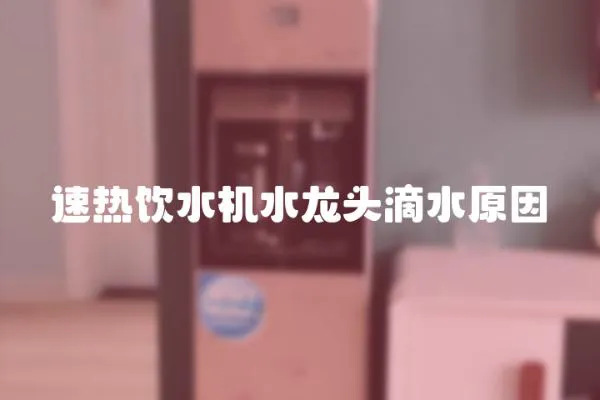 速熱飲水機水龍頭滴水原因