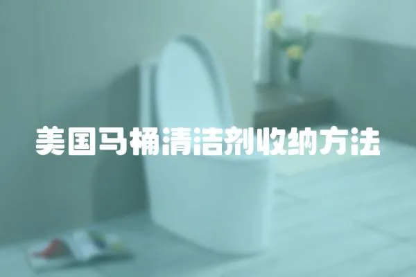 美國馬桶清潔劑收納方法