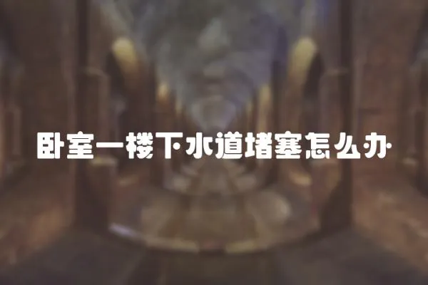 臥室一樓下水道堵塞怎么辦