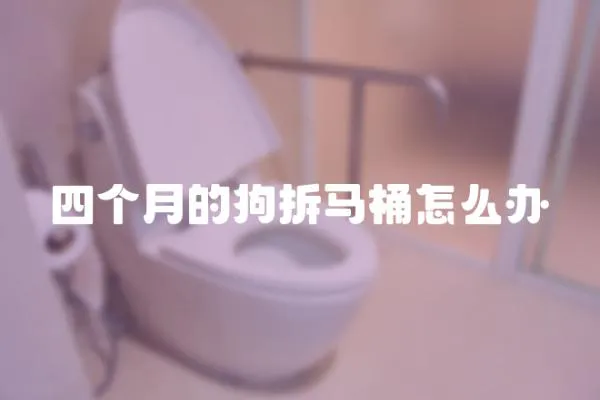 四個月的狗拆馬桶怎么辦