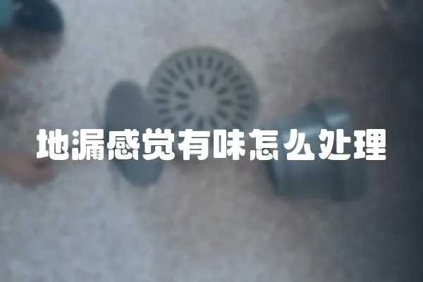 地漏感覺有味怎么處理
