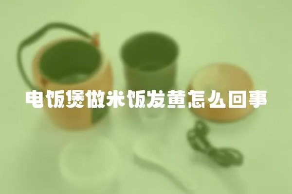 電飯煲做米飯發(fā)黃怎么回事