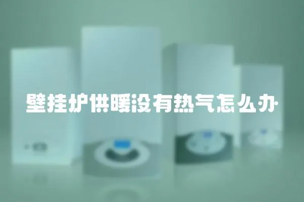 壁掛爐供暖沒有熱氣怎么辦
