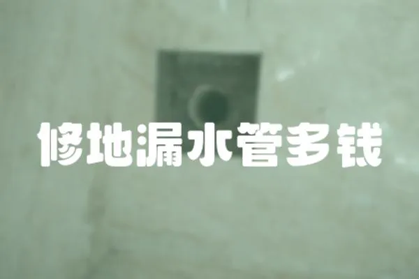 修地漏水管多錢
