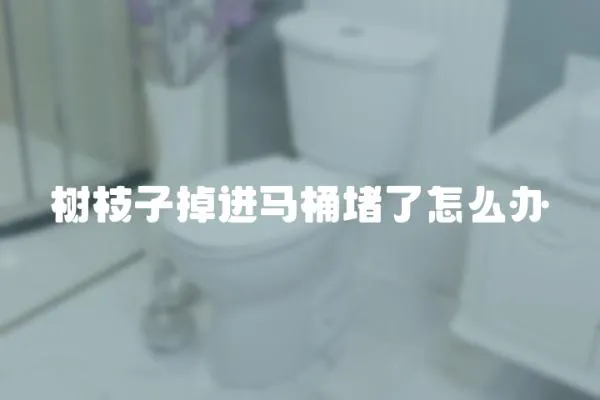 樹枝子掉進馬桶堵了怎么辦