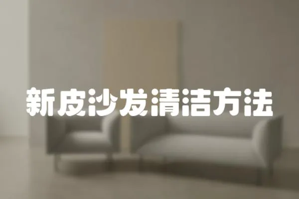 新皮沙發清潔方法