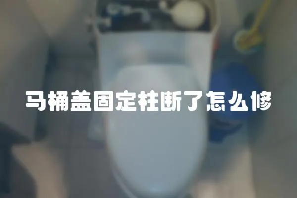 馬桶蓋固定柱斷了怎么修