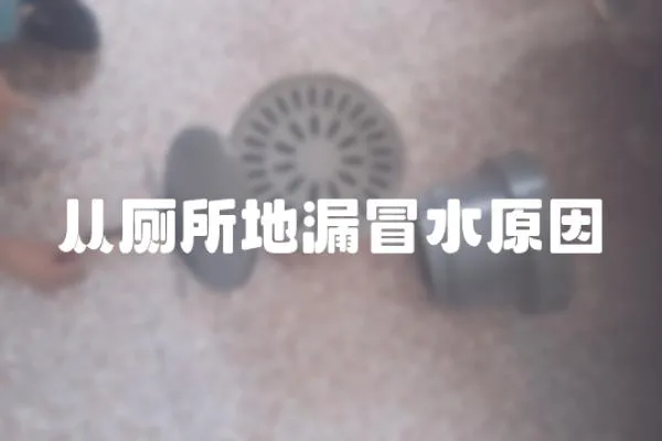 從廁所地漏冒水原因