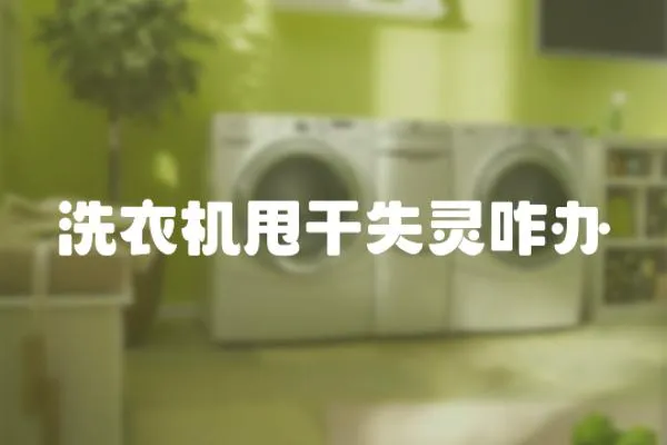 洗衣機(jī)甩干失靈咋辦