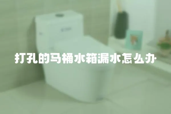 打孔的馬桶水箱漏水怎么辦