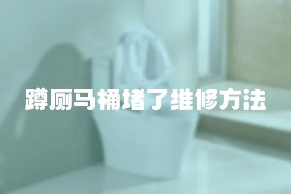 蹲廁馬桶堵了維修方法