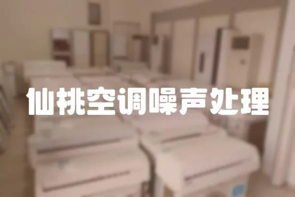 仙桃空調(diào)噪聲處理